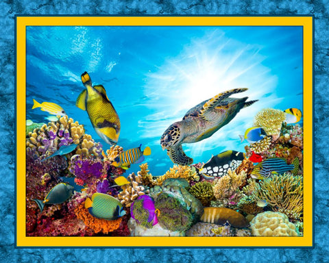 Coral Reef Panel Kit